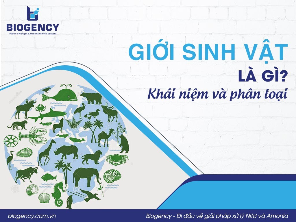 Hệ thống phân loại sinh học giúp các nhà khoa học dễ dàng nghiên cứu và trao đổi thông tin về các loài sinh vật.