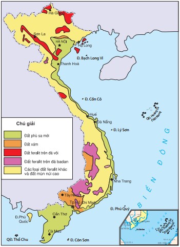 Đất Phù Sa thích hợp cho việc trồng lúa và hoa màu