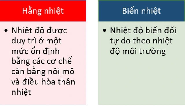 Rắn phơi nắng để tăng nhiệt độ cơ thể