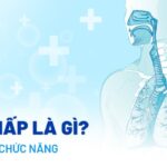 Hô Hấp Ở Thực Vật