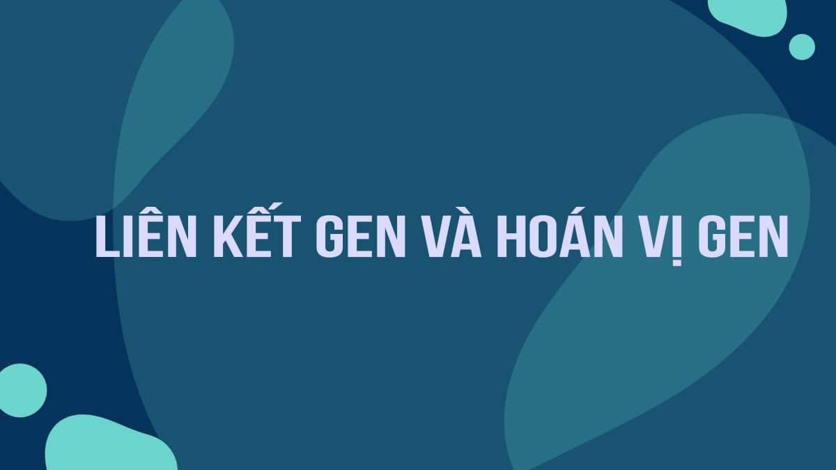 So sánh liên kết gen và hoán vị gen