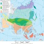 Bản đồ địa lý châu Á