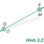 Đường sức điện trường của một điện tích dương và một điện tích âm