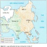 Dân cư châu Á chủ yếu thuộc chủng tộc Mongoloid, phân bố chủ yếu ở khu vực Đông Á