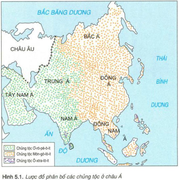 Dân cư châu Á chủ yếu thuộc chủng tộc Mongoloid, phân bố chủ yếu ở khu vực Đông Á