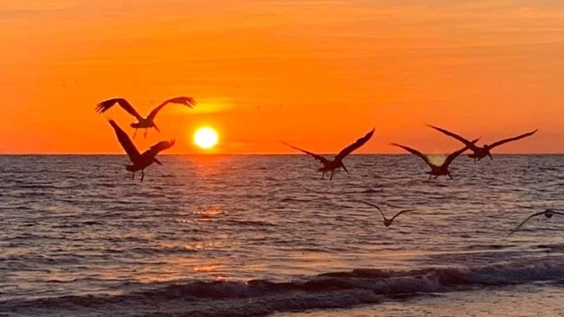 Hình ảnh hoàng hôn trên biển với những đám mây rực rỡ