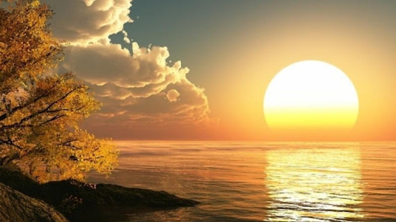 Hình ảnh tìm kiếm hình mặt trời trên Unsplash