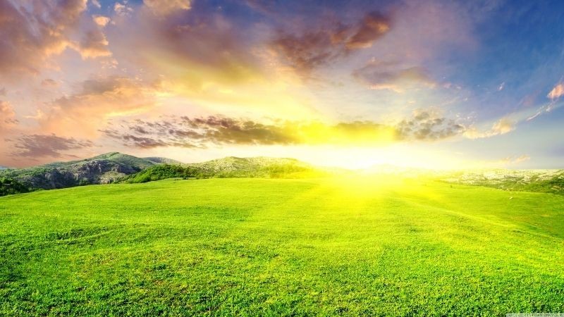 Tìm kiếm hình ảnh mặt trời trên ứng dụng di động Solaris