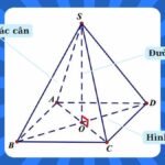 Khối chóp tứ giác đều và các yếu tố cơ bản