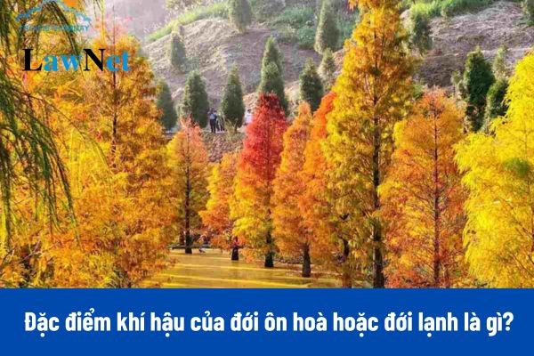 ảnh thời tiết đới ôn hòa