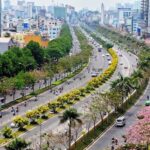 Ô nhiễm không khí do đô thị hóa