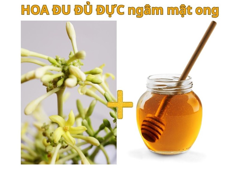 Hoa đu đủ đực ngâm mật ong