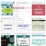 mẫu slide powerpoint sinh học chuyên nghiệp