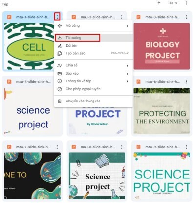 mẫu slide powerpoint sinh học chuyên nghiệp