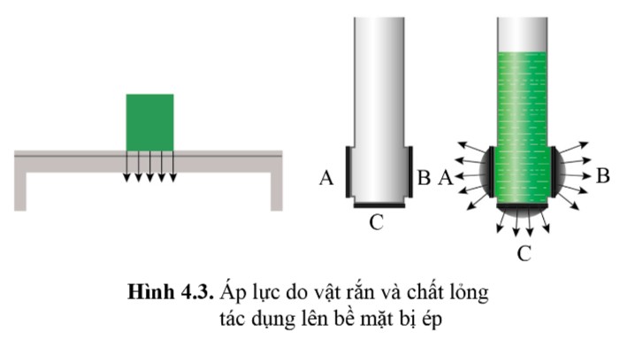 Áp suất chất lỏng tác dụng lên thành bình và đáy bình
