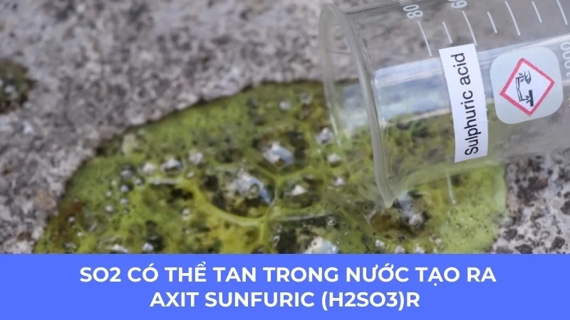 SO2 có tan trong nước không?
