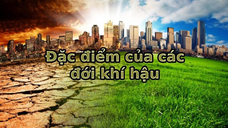 kiểu khí hậu phổ biến ở châu Á là gì