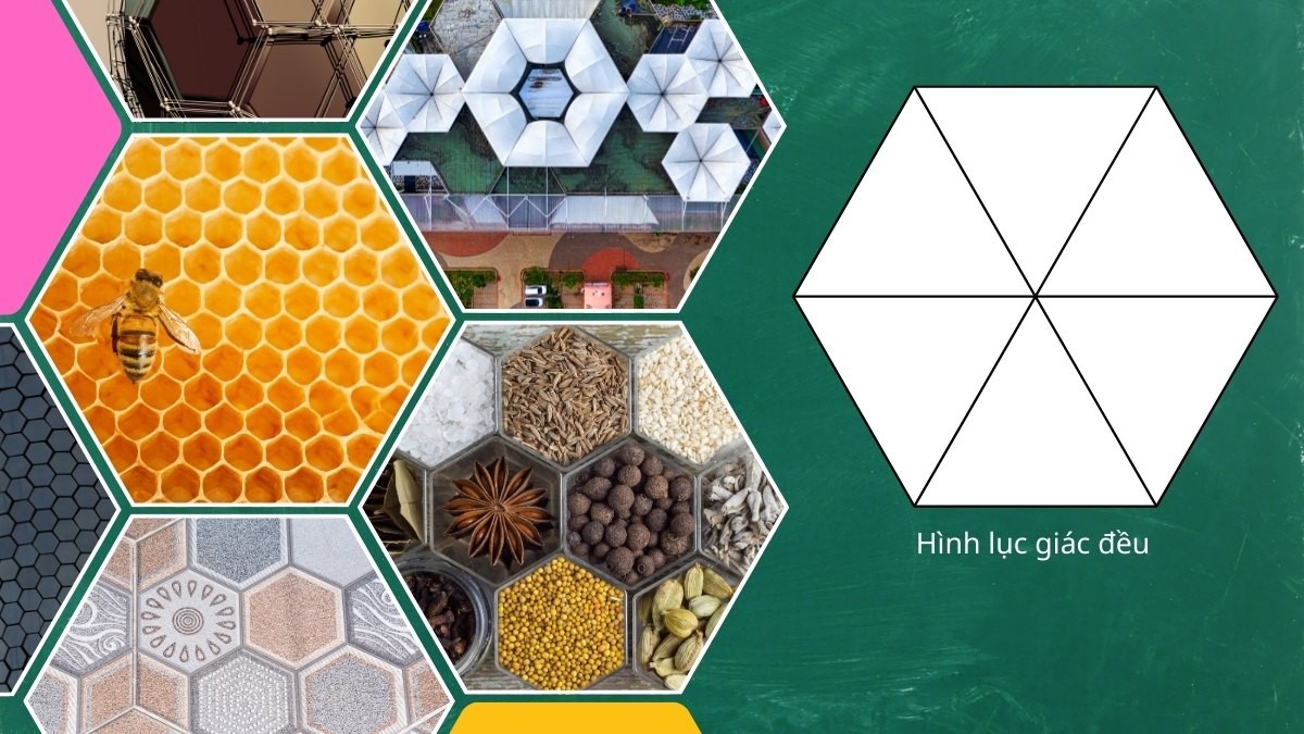 Hình Lục Giác Đều