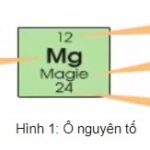 Ô nguyên tố cho biết những thông tin gì?