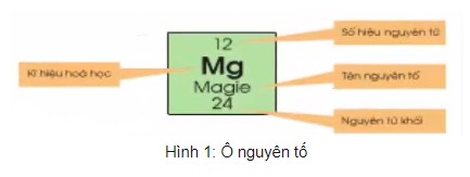 Ô nguyên tố cho biết những thông tin gì?