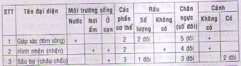 Bộ xương ngoài của tôm