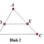 Hình minh họa định lý Ta Let đảo
