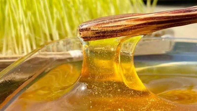 Đường Mantozo hay còn gọi là đường mạch nha
