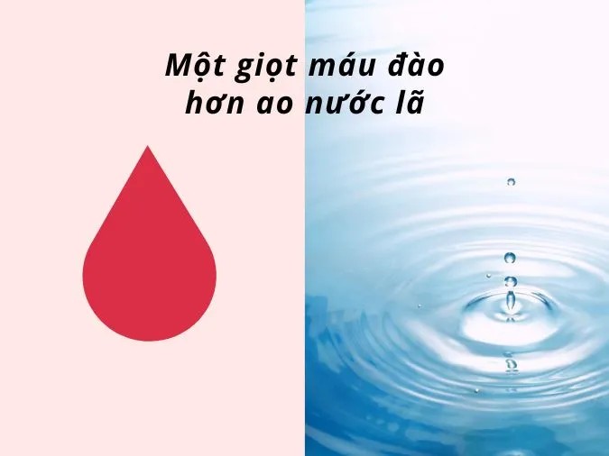 Giải thích ý nghĩa câu tục ngữ Một giọt máu đào hơn ao nước lã 1