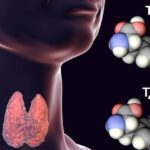 Hormone Tiroxin Quan Trọng Cho Sự Phát Triển Của Trẻ