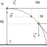 Phân tích chuyển động ném ngang thành hai thành phần chuyển động độc lập