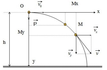 Phân tích chuyển động ném ngang thành hai thành phần chuyển động độc lập