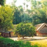 Ngôi nhà tranh giản dị tại Làng Sen, nơi Bác Hồ đã trải qua những năm tháng tuổi thơ