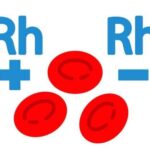 Hệ thống nhóm máu ABO và yếu tố Rh