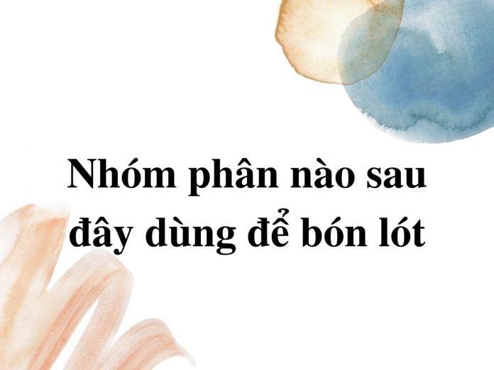 Phân chuồng là loại phân hữu cơ truyền thống, có nguồn gốc từ phân của gia súc, gia cầm