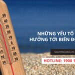 Biên độ nhiệt ảnh hưởng đến hiệu suất xe tải như thế nào?