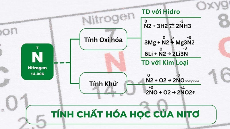 Tính chất hóa học của Nitơ