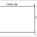 Công thức tính nửa chu vi hình chữ nhật