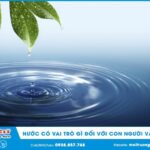Nước là thành phần cấu tạo quan trọng của cơ thể động vật