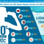 Nước quan trọng đối với sự sống của con người
