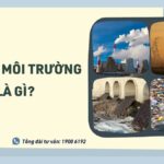Ô nhiễm môi trường là gì?
