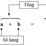 Bài 1 trang 158 sgk toán 5: Tính
