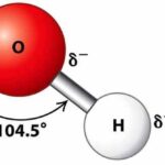 Mô hình cấu trúc phân tử nước