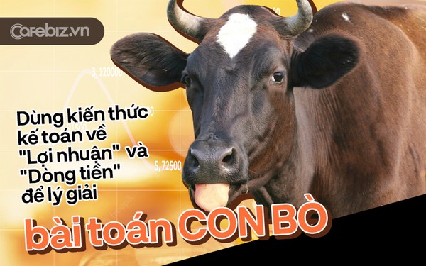 Góc hack não: Bài toán “mua đi bán lại con bò” nổi tiếng trên mạng trở thành đề thi kế toán ở một doanh nghiệp, đã đánh bại 50% ứng viên, lời giải thực sự là gì? - Ảnh 1.
