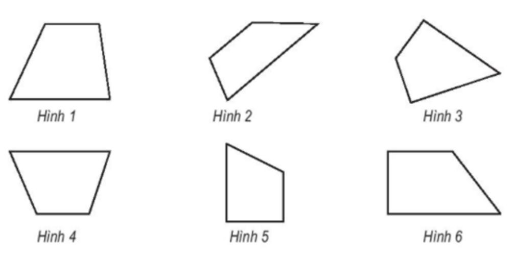 Hình thang