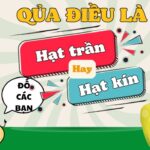 hạt trần và hạt kín