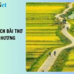 Quê hương là chùm khế ngọt, hình ảnh gợi nhớ về tuổi thơ