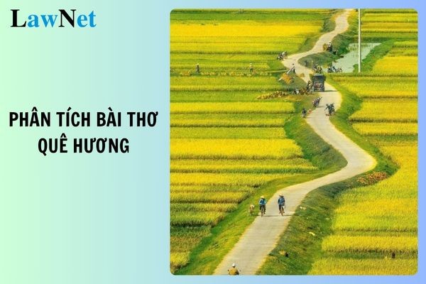 Quê hương là chùm khế ngọt, hình ảnh gợi nhớ về tuổi thơ