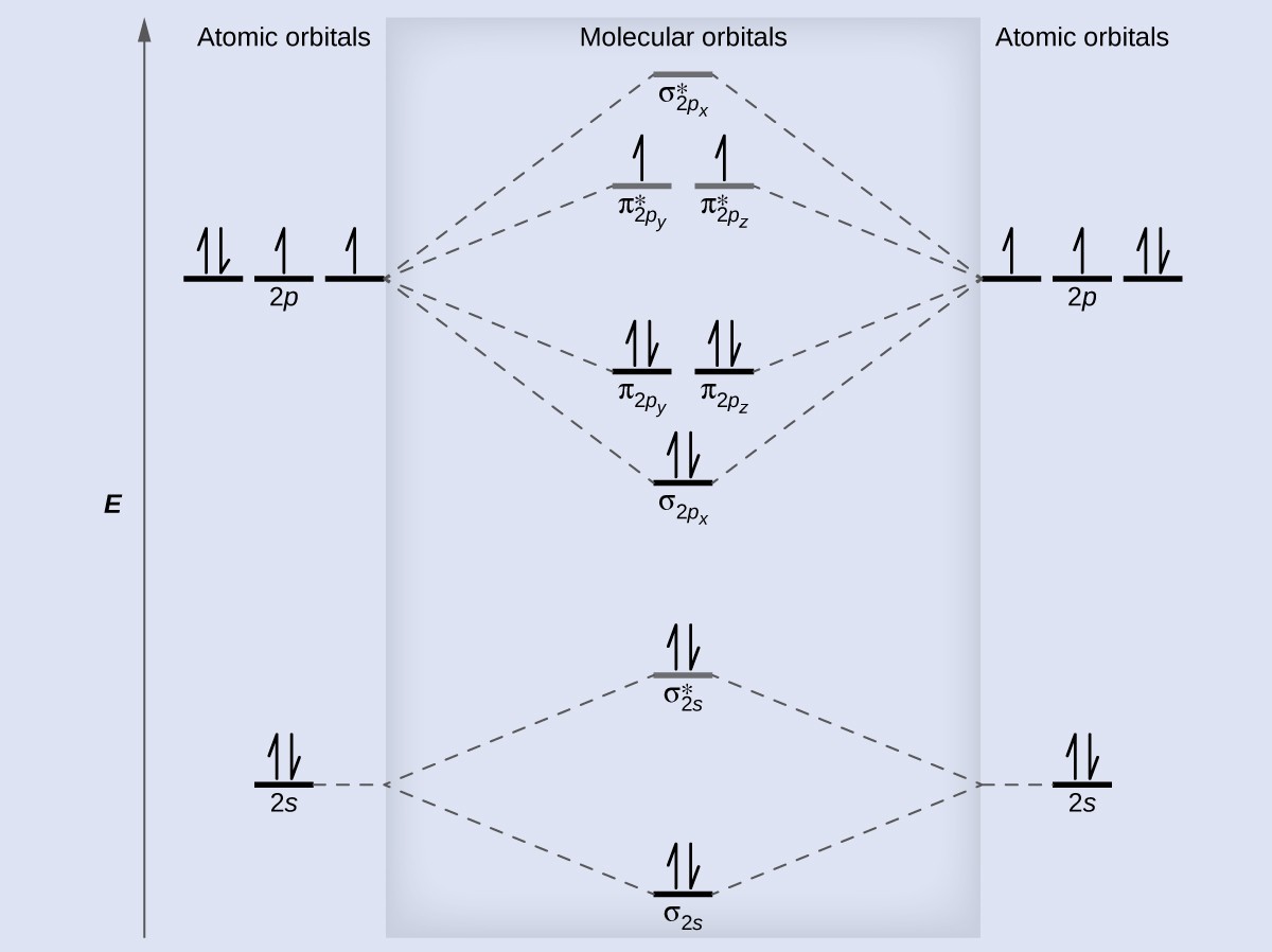 So sánh cấu trúc n-hexane và 2,2-dimethylbutane