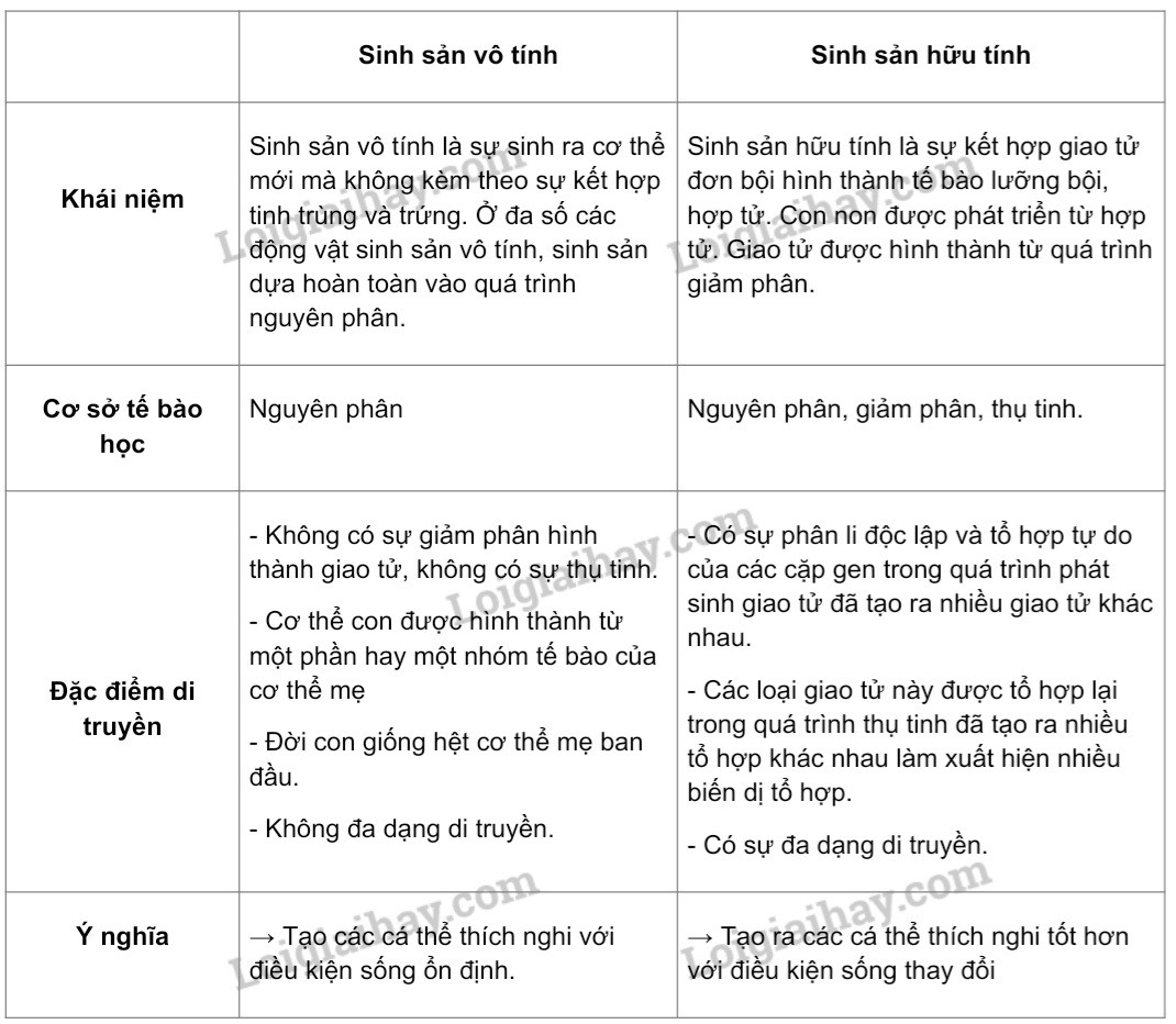 Phân biệt sinh sản vô tính và sinh sản hữu tính