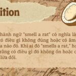 Smell a rat nghĩa là gì?